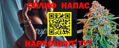 гашик Обь