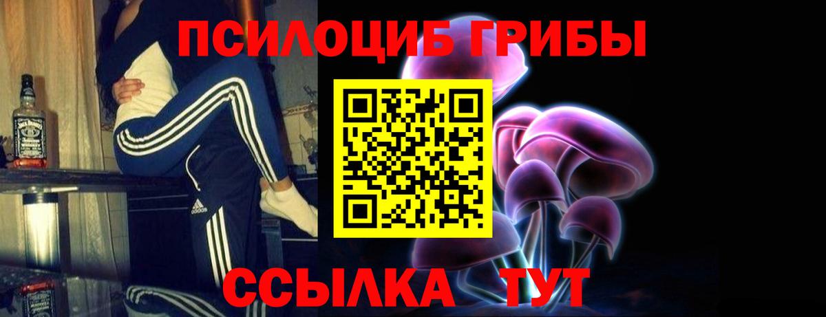 Соликамск  Псилоцибиновые грибы прущие грибы  Вход с VPN 